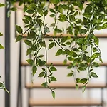 Guestready - Visconde Mezzanine Lejlighed