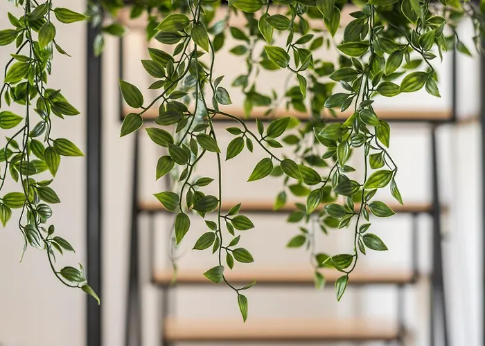 Guestready - Visconde Mezzanine Apartmán